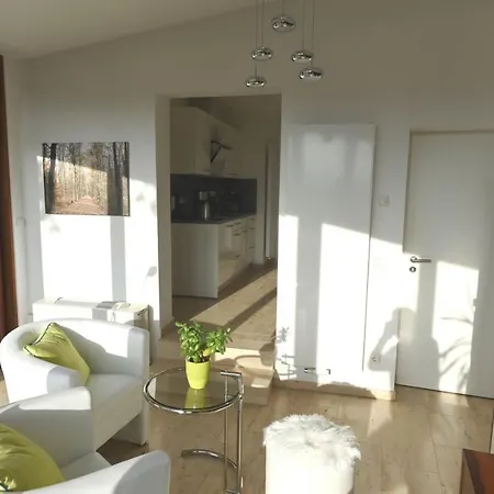 Vogelnest Apartment Pirna Exterior photo