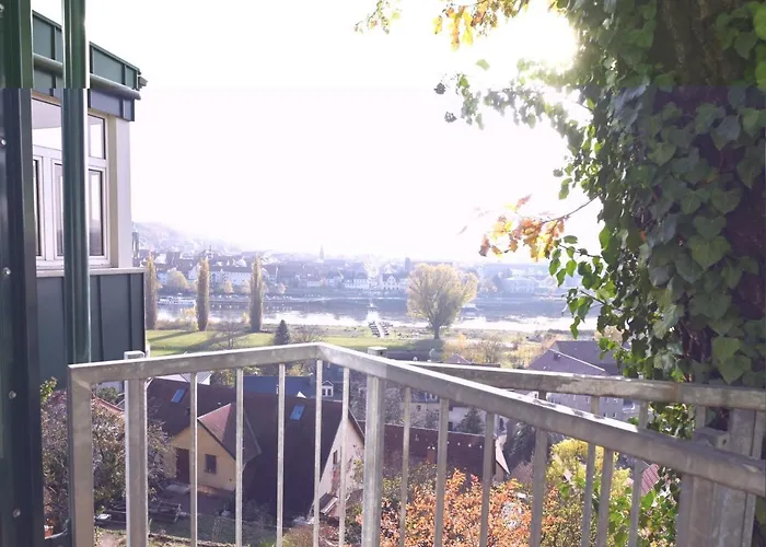 Vogelnest